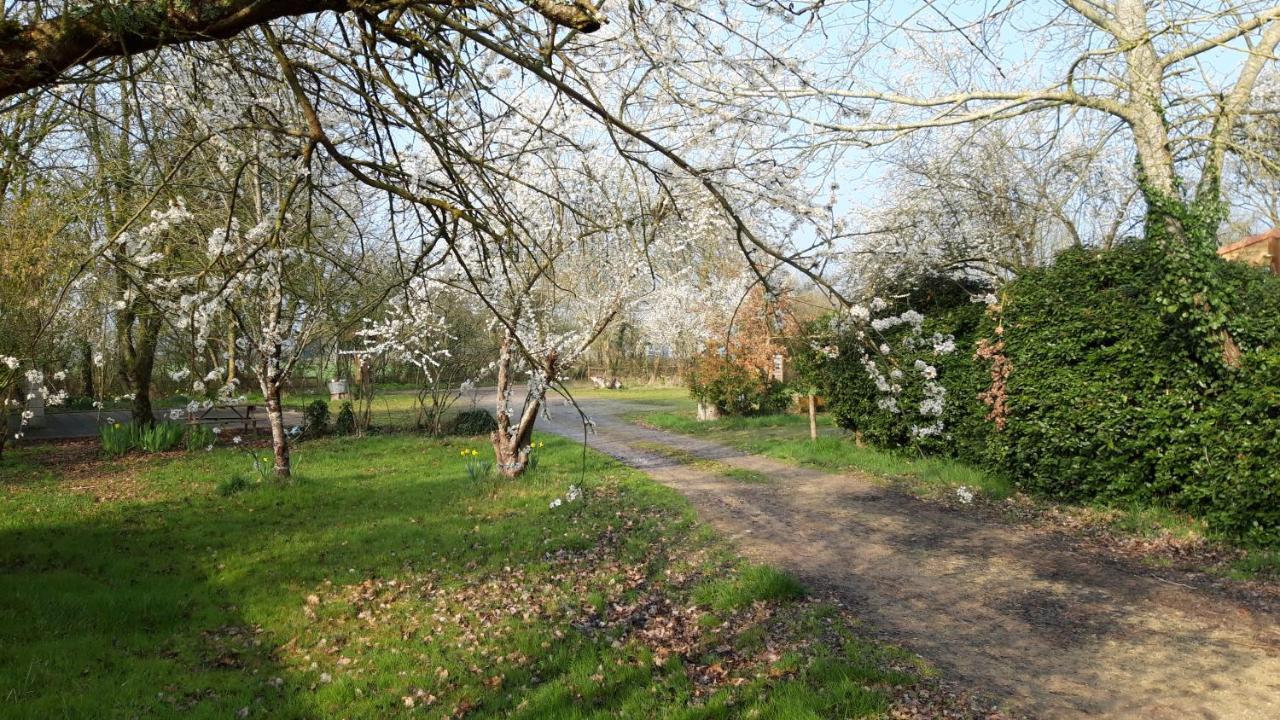 فندق Le Domaine De La Barre Saint Michel Gourgé المظهر الخارجي الصورة