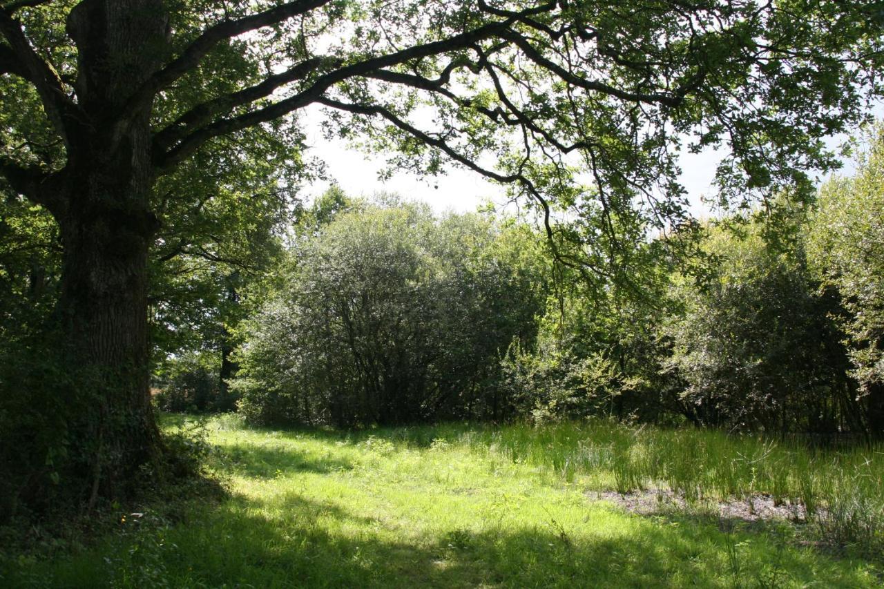 فندق Le Domaine De La Barre Saint Michel Gourgé المظهر الخارجي الصورة